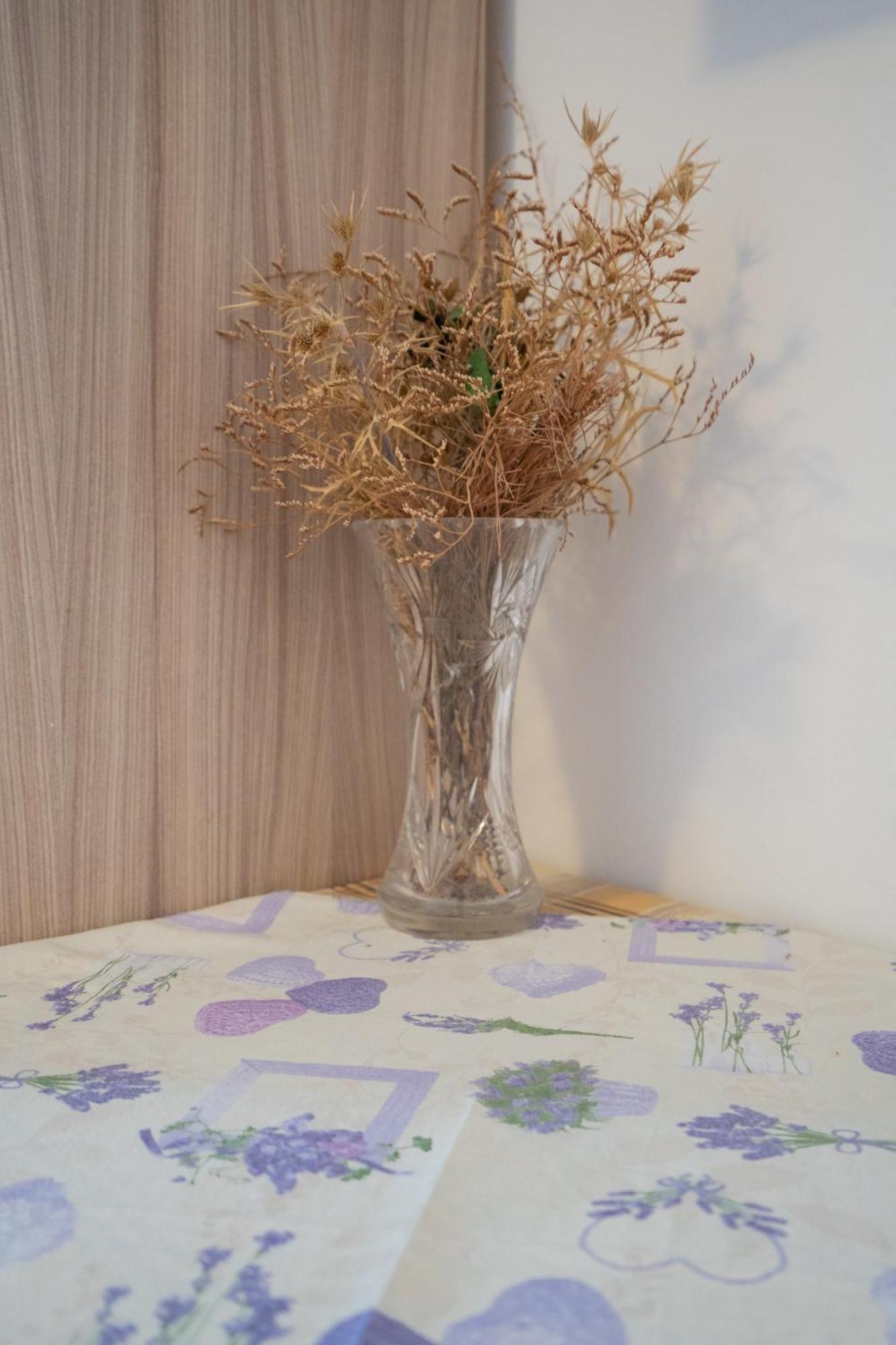 Apartmani Vidusin Novalja Εξωτερικό φωτογραφία